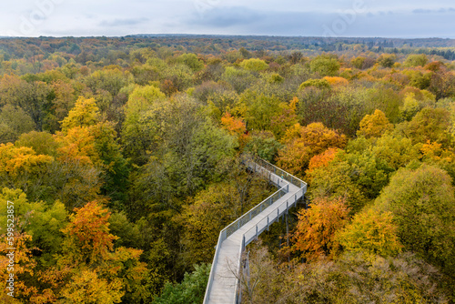 Baumkronenpfad im Nationalpark Hainich, Thüringen, Deutschland