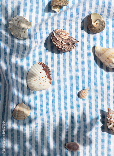Different kinds of seashells with palm leaves shadows on the blue striped fabric background top view