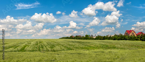A green wheat field on the hills, a village on the horizon and a blue cloudy ...