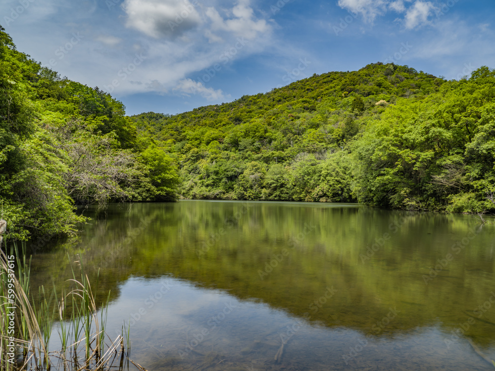 Fototapeta premium 晴れた日の水辺の風景