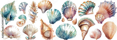 Fotografia Set of different sea shells, corals and starfishes