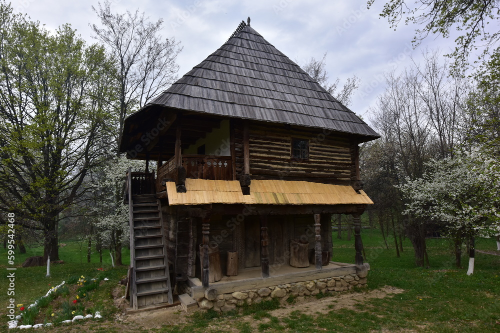 Old wooden house in the village in the spring on a cloudy day 2