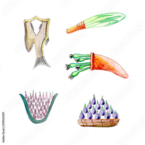 illustration of a set of vegetables