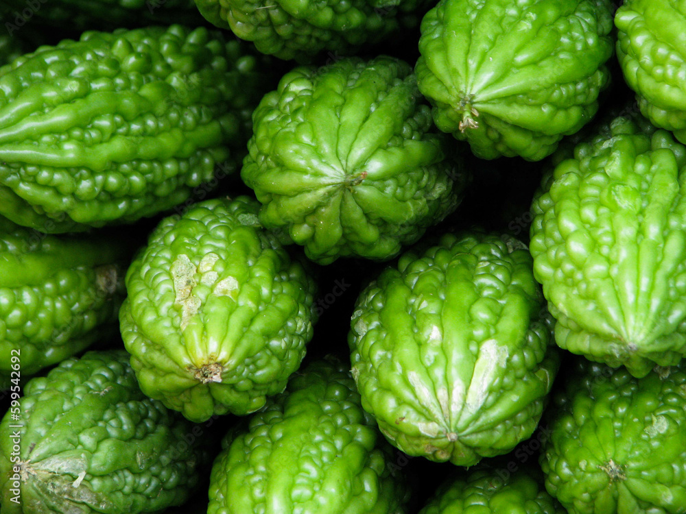 Bitter Gourd Bitter Gourd
