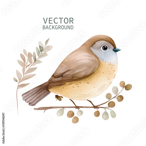 bird nature watercolor neutral colors for kids simple drawing childish cute