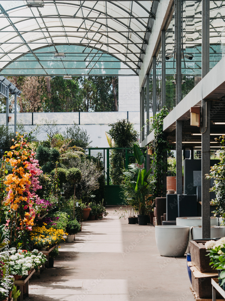 Various brightly blossom flowering plants in pots on stands and floor plants in a garden shop