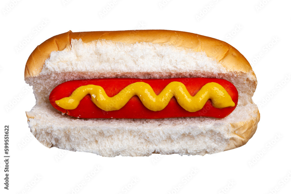hot dog with mustard hot dog with mustard