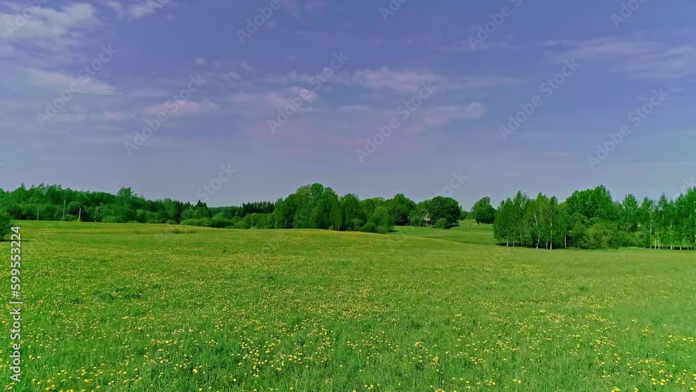Picturesque green grassy meadow field with yellow flowers along rolling hills, aerial dolly Picturesque green grassy meadow field with yellow flowers along rolling hills, aerial dolly