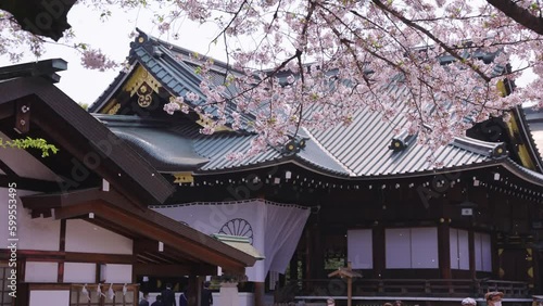 Yasukuni Shrine in Spring, Sakura Petals Fall over Historic Location in Japan photo