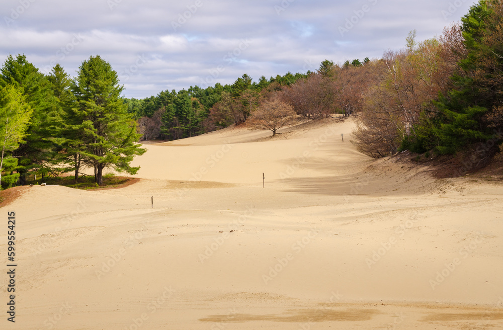 Cloudy Day at the Desert of Maine