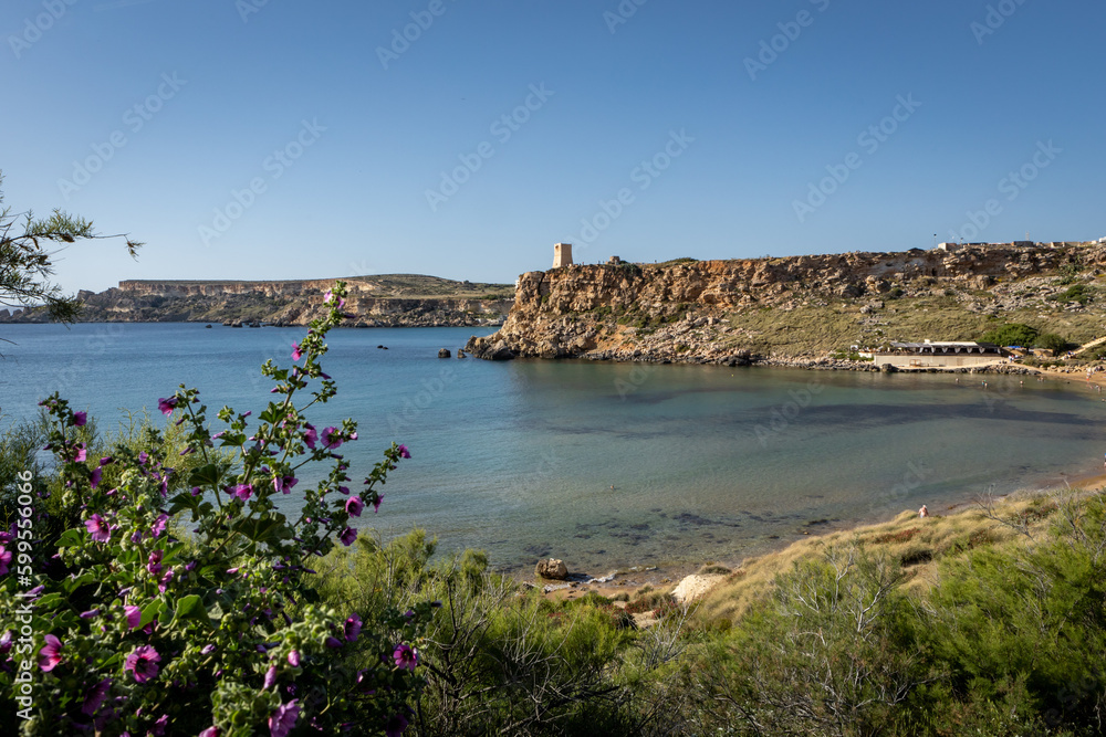 Scenic landscape of Mediterranean sea coast in Golden Beach, Malta. Turquoise water, springtime flowers in foreground. 
