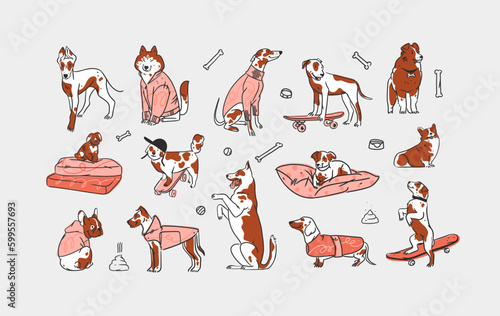 Hand drawn vector abstract graphic line collection set with diverse cute funny cartoon dogs characters.Vector illustration of funny cartoon different breeds dogs in trendy flat style. Line dog icon.