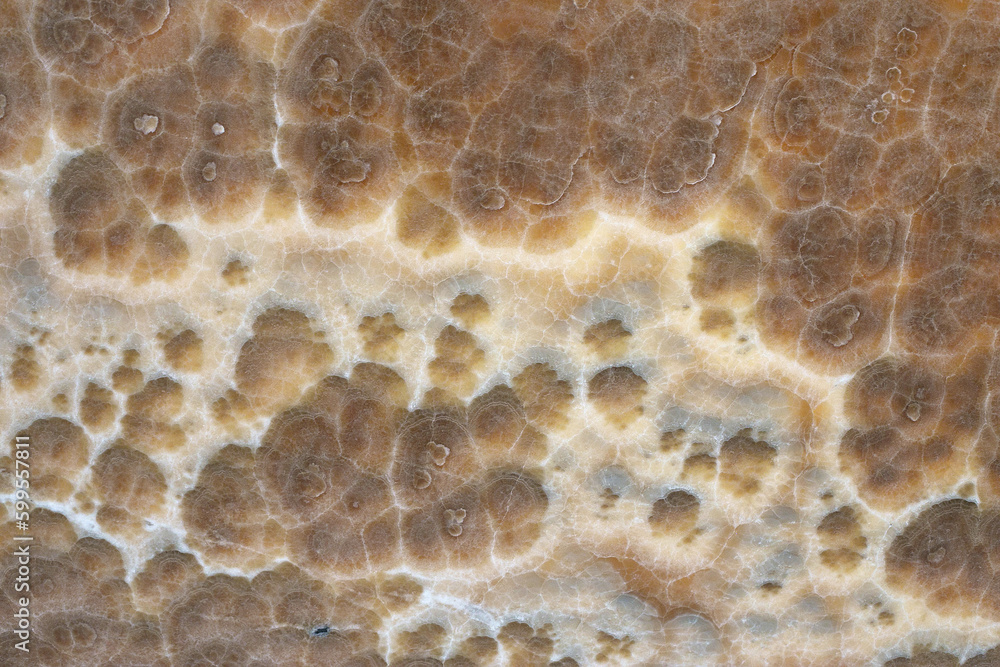 Marble texture, photo of a large fragment of a marble slab
Marble texture, photo of a large fragment of a marble slab