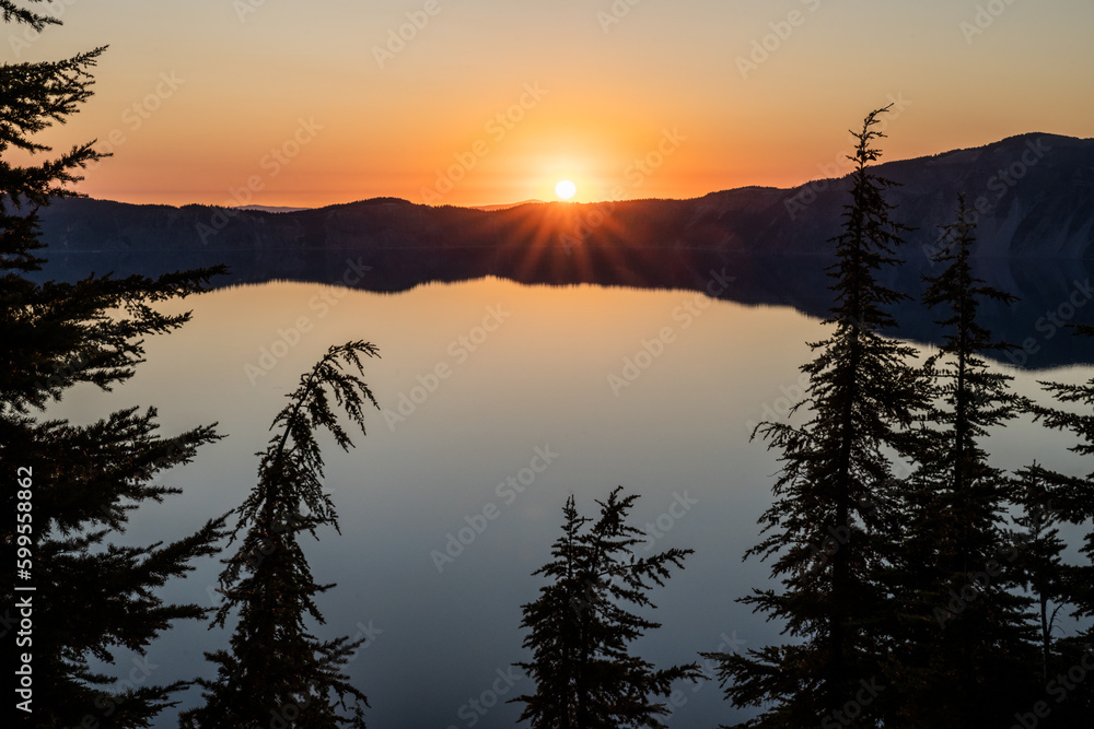 Thin Pine Tree Tops Droop From Weight At Sunset Over Crater Lake