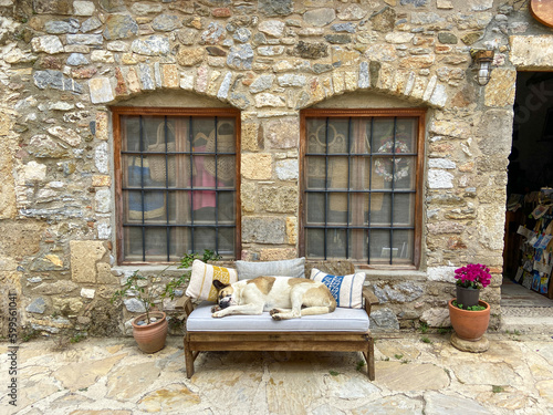 Houses in Datça district of Muğla, old Datça streets, old stone houses, animals enjoying the street