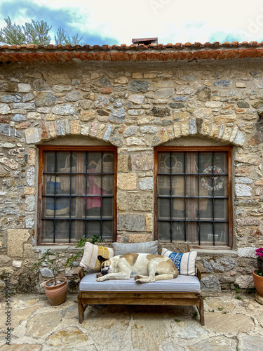 Houses in Datça district of Muğla, old Datça streets, old stone houses, animals enjoying the street