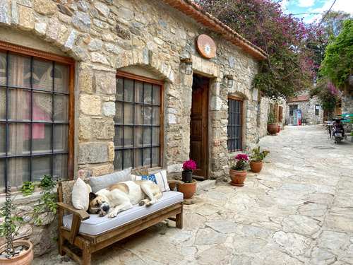 Houses in Datça district of Muğla, old Datça streets, old stone houses, animals enjoying the street
