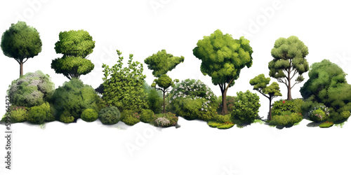 shrubs vector for architectural render, isolated background cutout