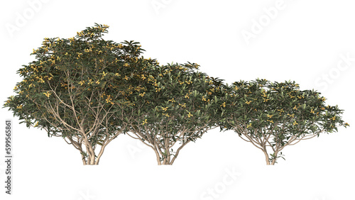 Various types of tree branch plants bushes shrub and and small plants isolated	
