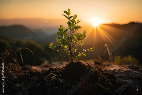 small plant growing on ground at sunrise created with Generative AI technology