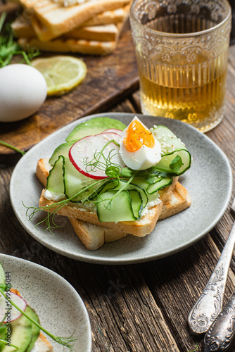White bread toasts with cream cheese  egg  avocado  cucumber and radish in a plate