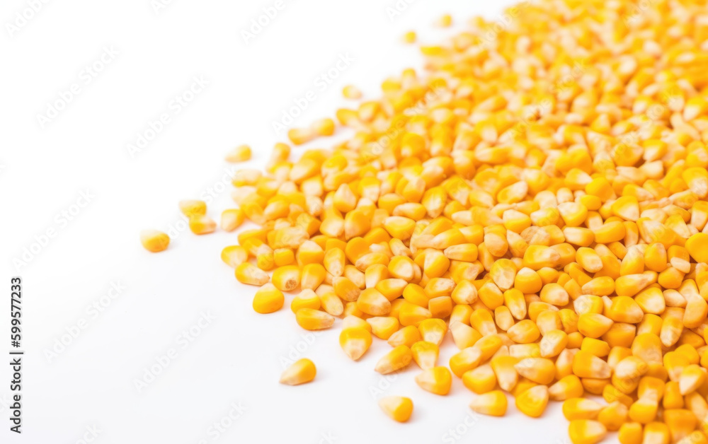 corn grain scattering white background created with Generative AI technology corn grain scattering white background created with Generative AI technology