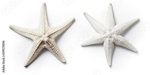 starfish isolated created with Generative AI technology