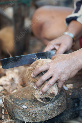 Man peeling coconut, peeling hard coconut shell with traditional method, An asian male gardener peeling coconut. Asian man peeling coconut using machete. Using a knife to peel the coconut.