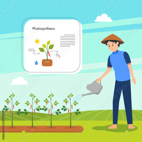 the farmer waters the plants, and explains photosynthesis