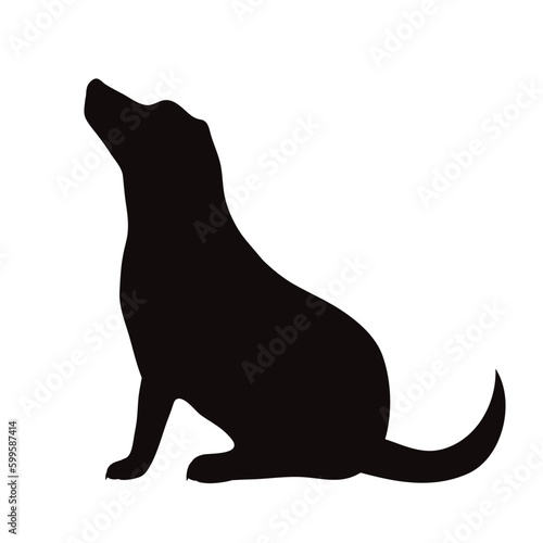 Vector silhouette of jack russell terrier on white background.
