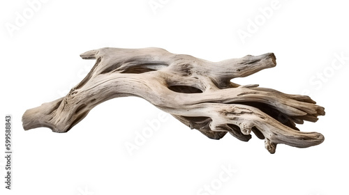 流木の美しさを表現したアートワーク(切り抜き) No.002 | Artwork (clipping) expressing the beauty of driftwood Generative AI