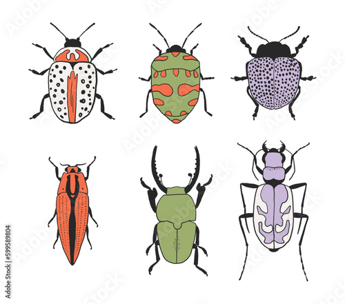 Hand drawn colorful bug set