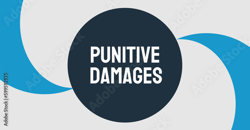 Punitive Damages: Additional damages awarded in a lawsuit as a punishment.