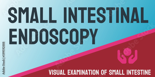 Small Intestinal Endoscopy: a procedure to examine the small intestine.