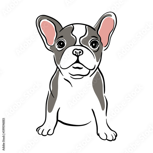 vector sketch domestic dog French Bulldog breed
