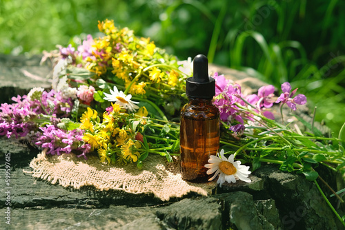 Glass Bottle of herbal essential extract with wild flowers and plants on tree stump close up, natural background. eco friendly care organic product. beauty treatment, Spa concept. template for design