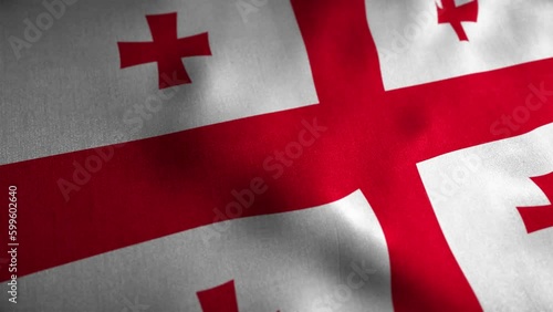 Georgia Looped Flag
