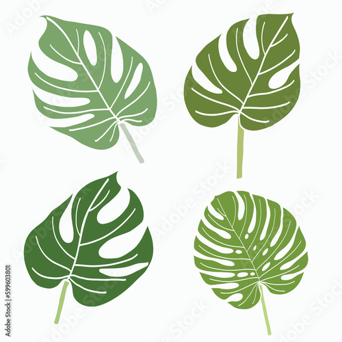 Simplicity monstera leaf freehand continuous line drawing flat design.