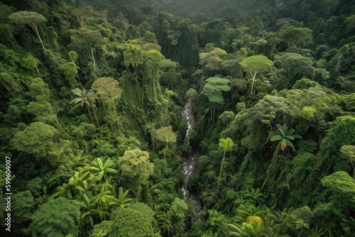 aerial view of lush jungle filled with waterfalls and wildlife  created with generative ai