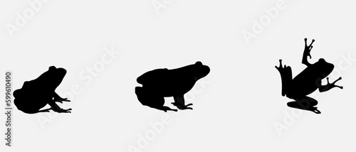 isolated black silhouette of a frog , vector collection