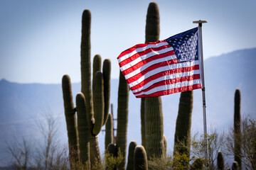 Desert Flag