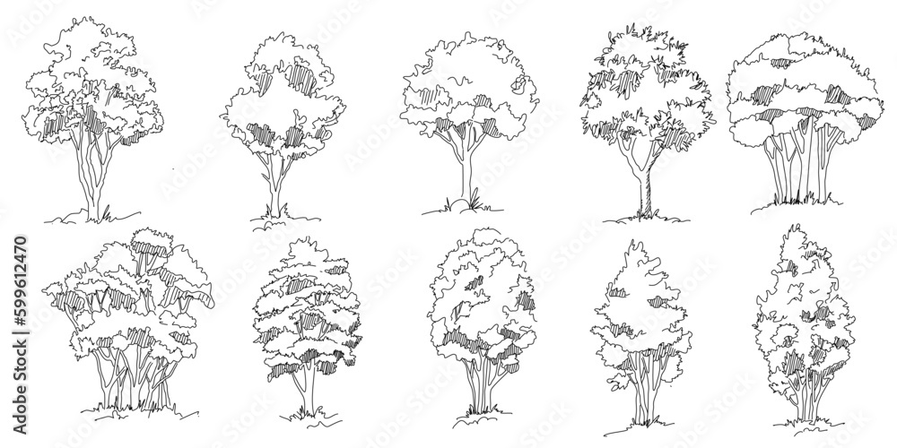 Set of hand drawn architect trees. Tree Sketch Architectural illustration landscape