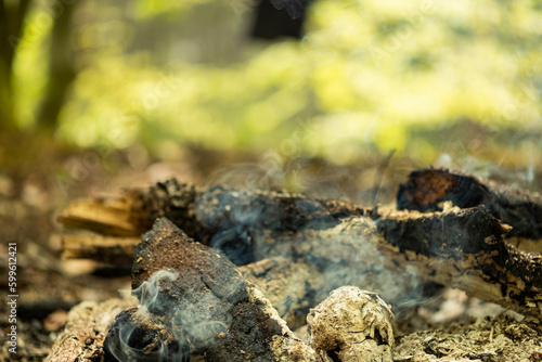Smoke from a fire in the forest. Smoldering coals and firewood in smoke on a blurred background. Ashes in the barbecue