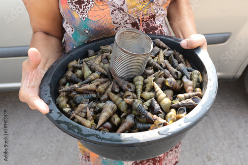 Myanmar woman vendor carrying bowl full of river snail for selling, Myawaddy Myanmar photo