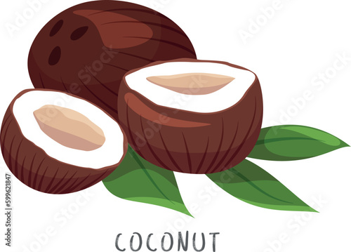 Coconut whole and halves with green leaves and name text isometric vector illustration