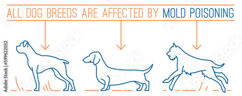 All dog breeds get mold poisoning. Vector illustration