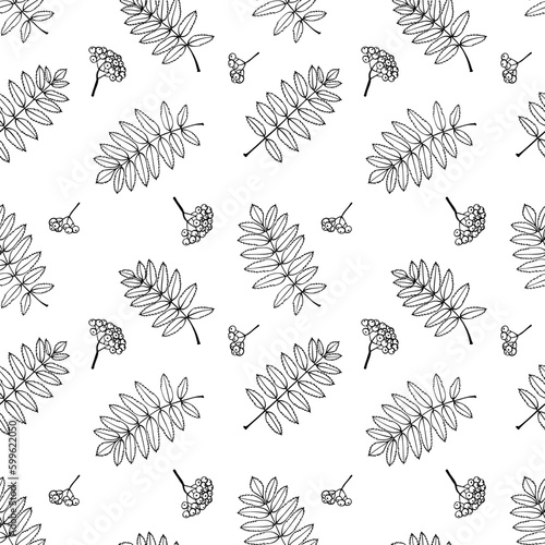 Seamless pattern with autumn rowan leaves. Autumn holidays background. Hand drawn vector illustration.