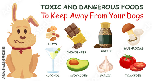 Toxic and dangerous foods to avoid feeding your dogs.