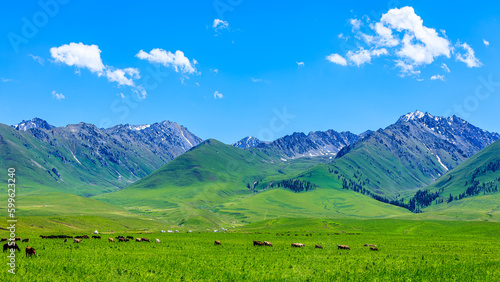 Green grassland natural landscape in Xinjiang, China. © ABCDstock