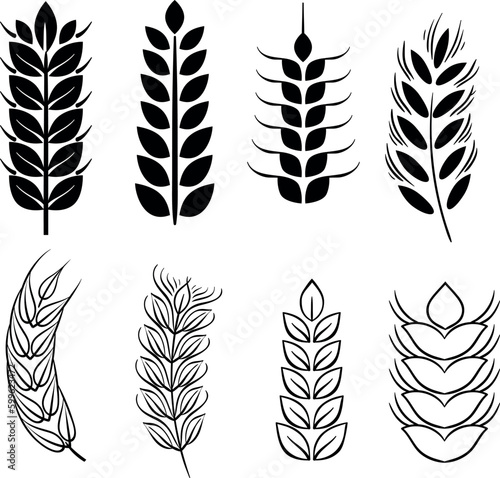 Set of differents outilned wheat stalk silhouette vector illustration